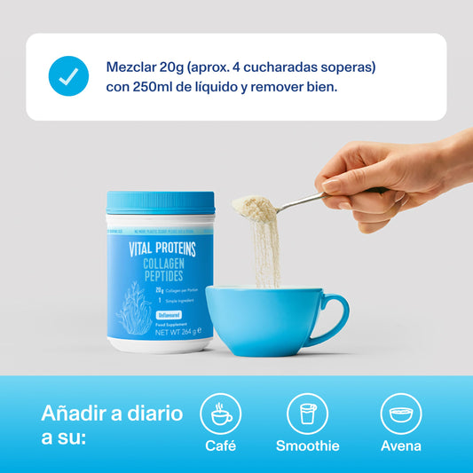 Vital Proteins Péptidos de Colágeno, complemento alimenticio en polvo, colágeno hidrolizado (Tipo I, III), sin sabor, para la piel, cabello, uñas, sin gluten, 20 g por dosis, 264g